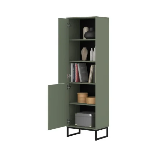 dulap vitrină Loft 2 uși - culoare verde