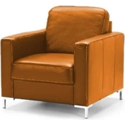 fotolii Basic cognac