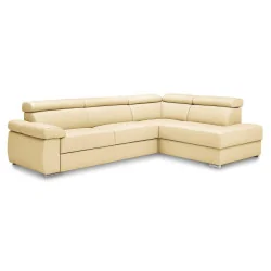 coltare extensibile piele Zoom cu depozitare si tetiere reglabile 2,5F-E-1HT