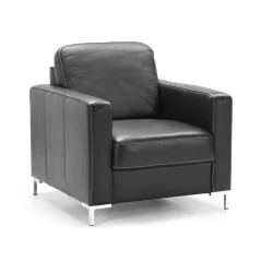 Fotolii piele Basic