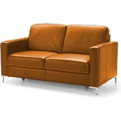 canapele piele Basic de 2 locuri cognac