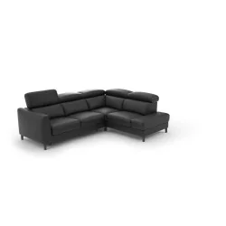 coltar extensibil cu depozitare Boston 2,5F-E-1HT/BK din piele naturală