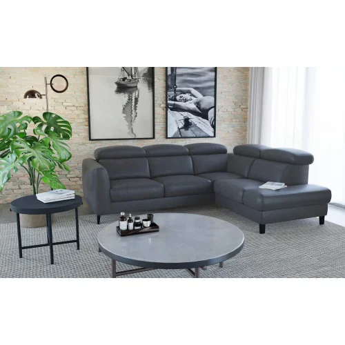 coltar extensibil cu depozitare Boston 2,5F-E-1HT/BK din piele naturală - interioare