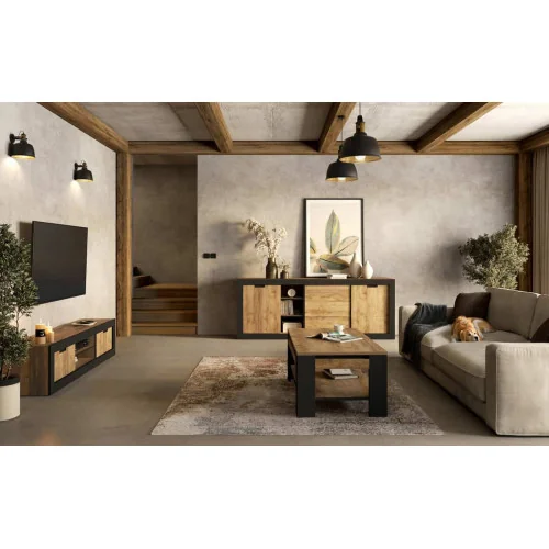 set mobila living - Tudor si canapea pet friendly